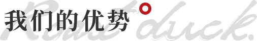 我们的优势